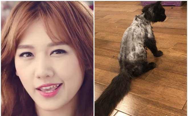 photo1536311354837-1536311354837394214340