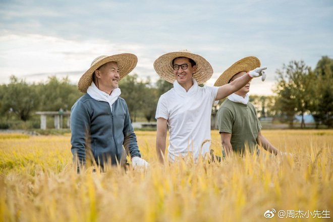 Không hề nghèo khó, Nhĩ Khang Châu Kiệt hạnh phúc với cuộc sống làm nông dân trồng lúa - Ảnh 7.