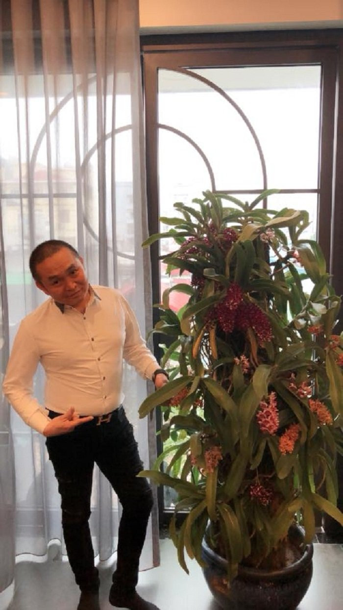 1549941961-786-tham-nha-pho-co-28276518_1173980869411887_5352488601266728131_n-1549940801-width540height960 16