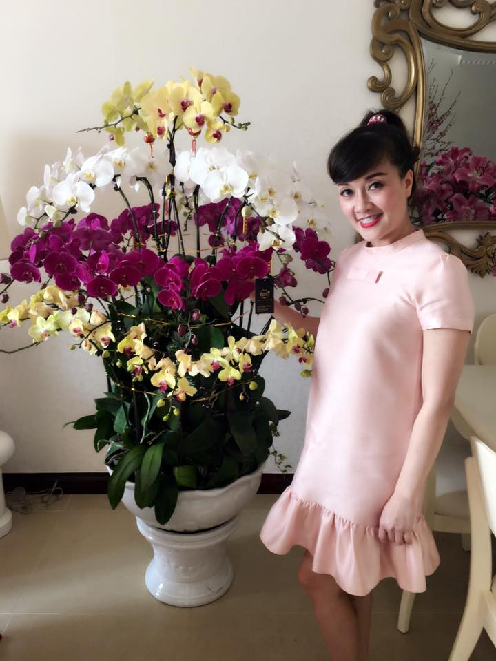 12729055_668026389995712_8297936792762121672_n 3