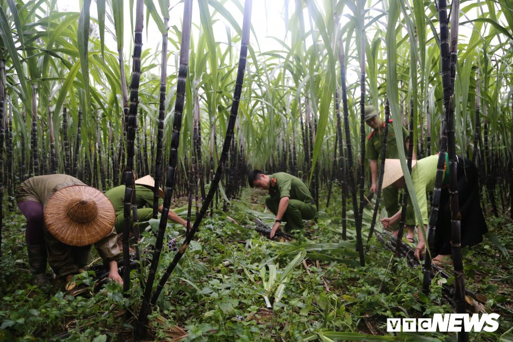 44352438_348507525885601_4134390962862424064_n