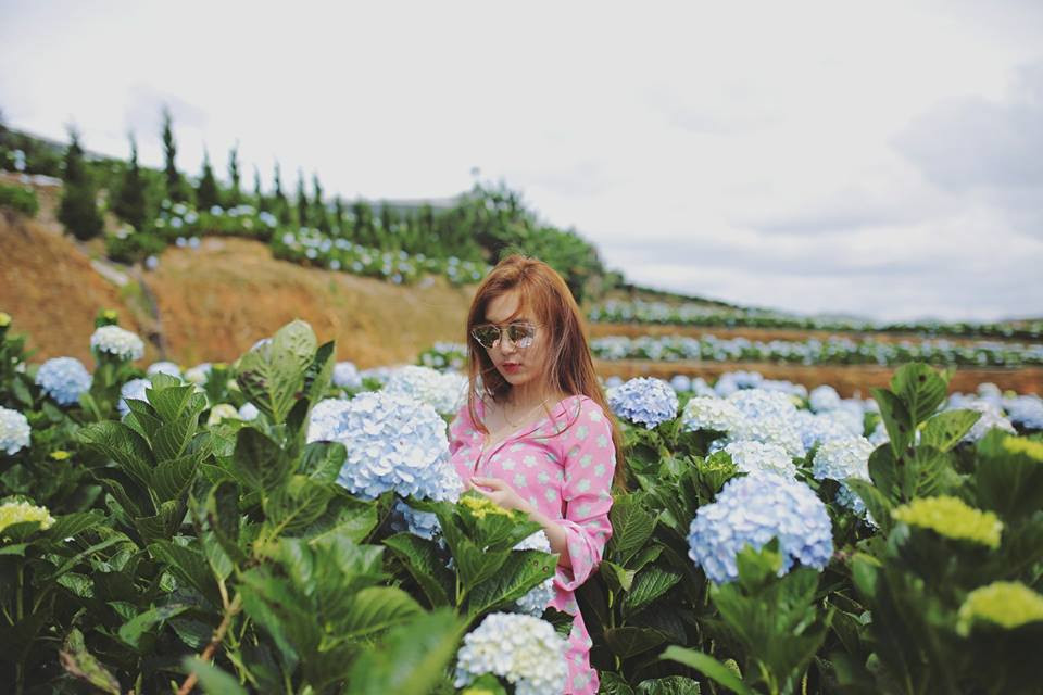 23658403_444111059317200_3535114966422465056_n 13