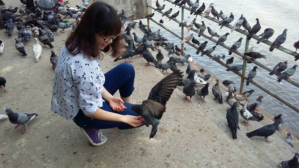 11059977_371779149687689_4089371027728754738_n