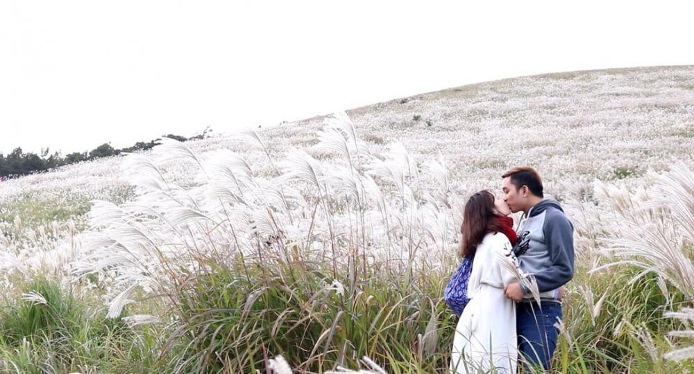 46517522_1792073494235326_6730703636801781760_o 3