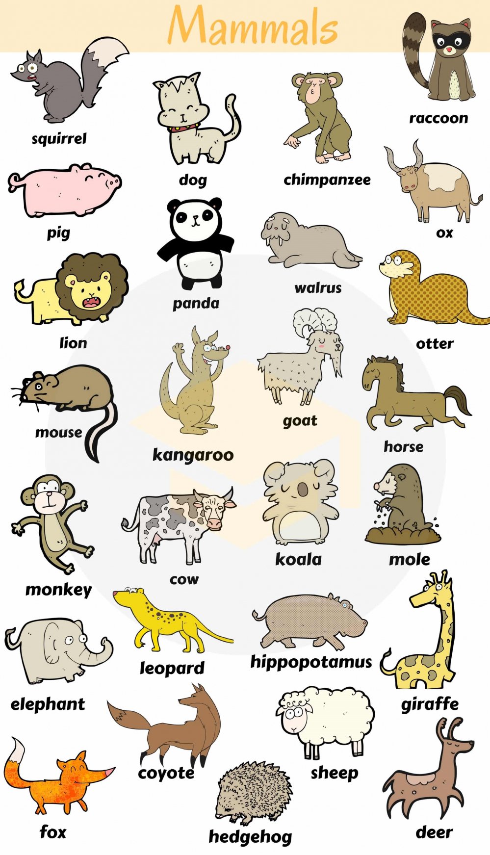 mammals-vocabulary