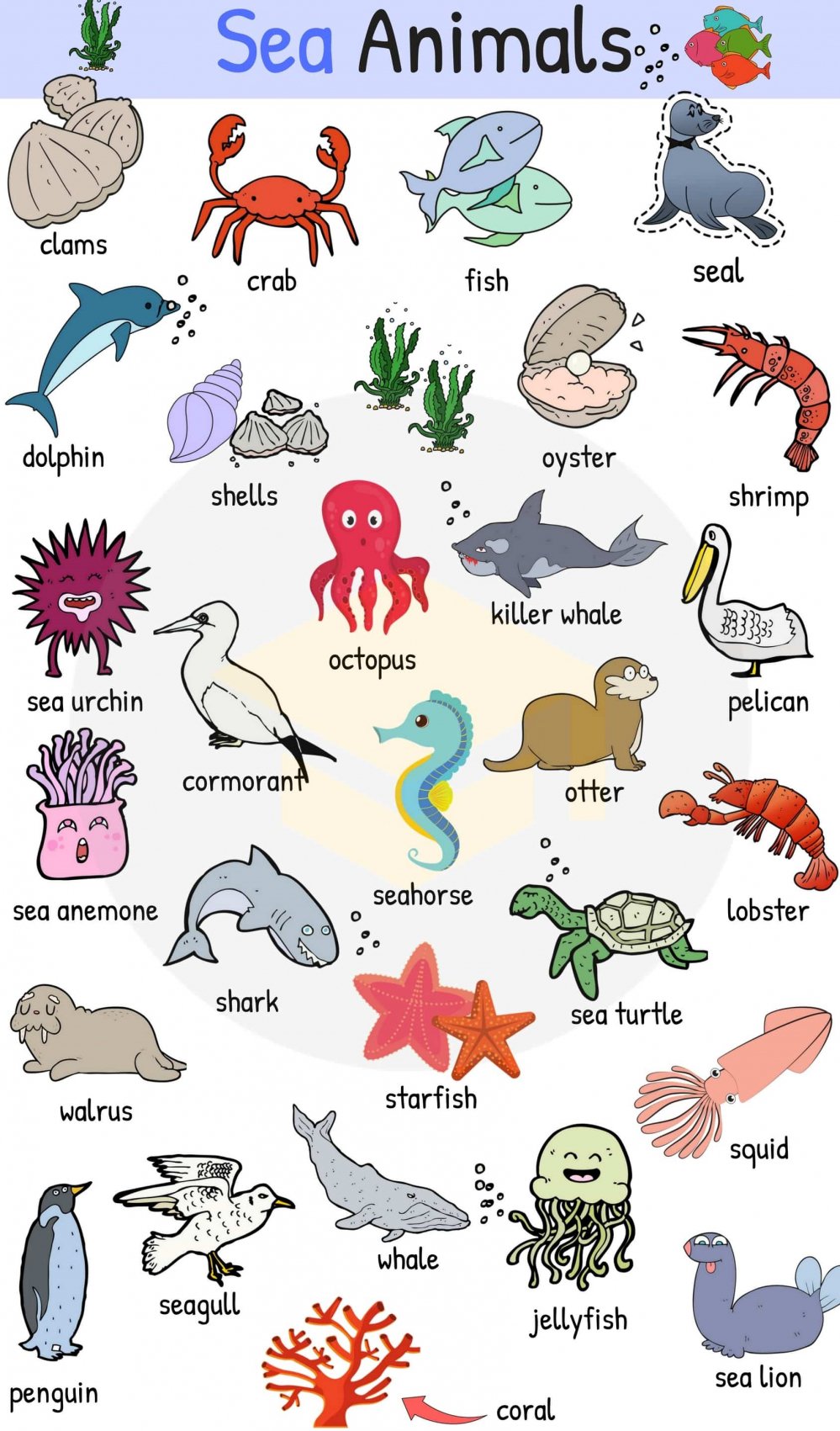 sea-animals-vocabulary