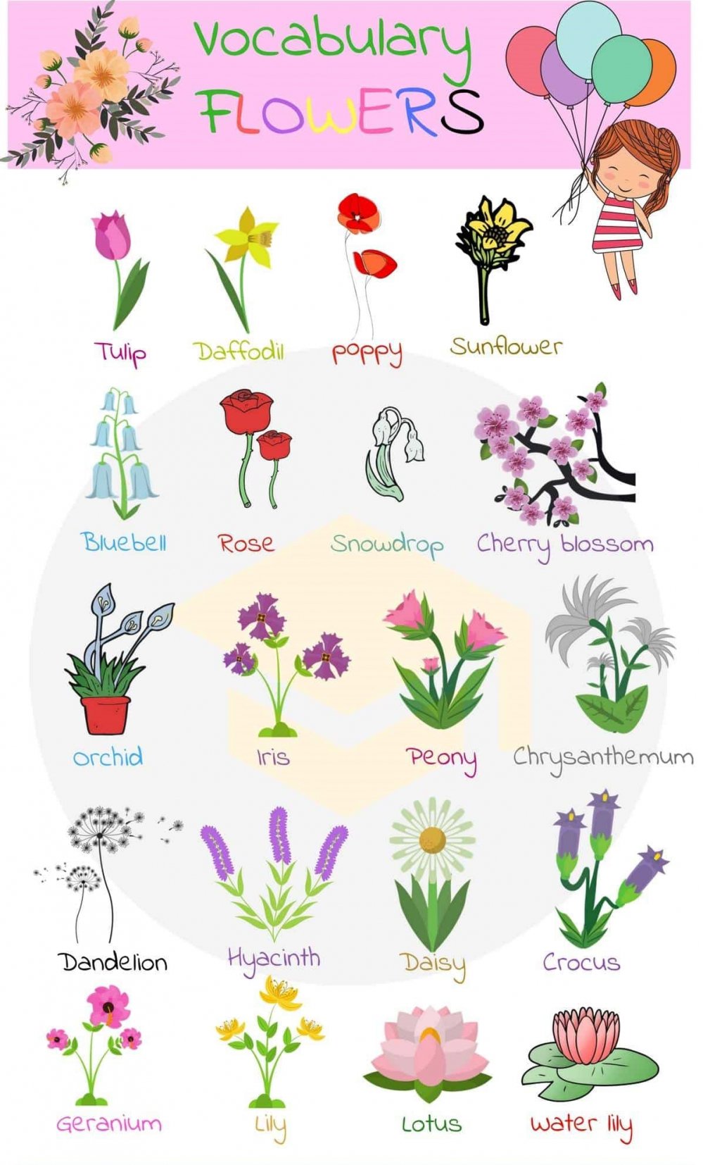 Flowers-vocabulary