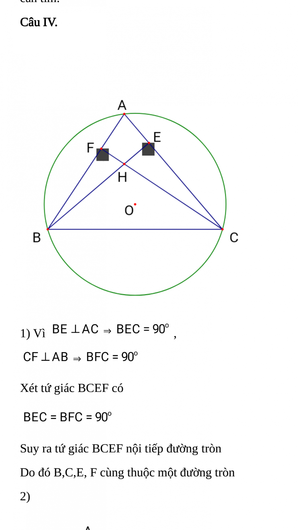 61558408_621826468337105_6360315144777498624_n 3