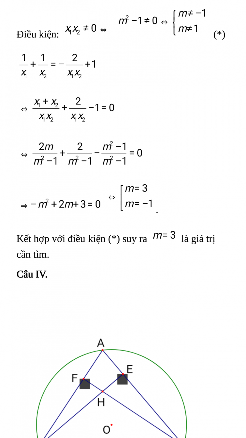 61687726_2388349918067090_5870503996166242304_n 11