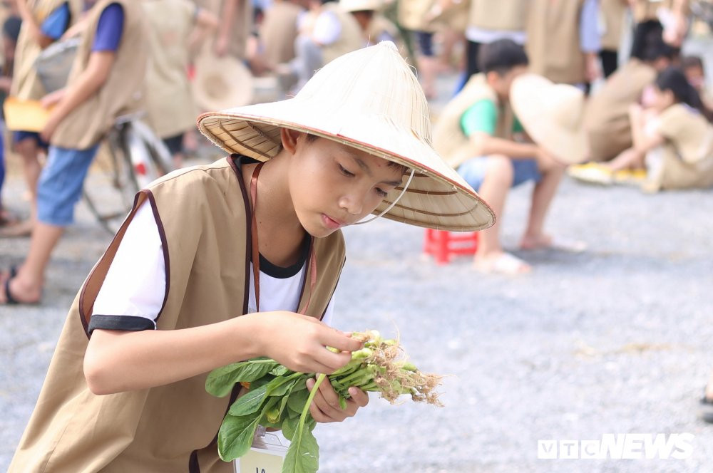 hoc-sinh-loi-ruong-mot-lua-ha-nam-8 6