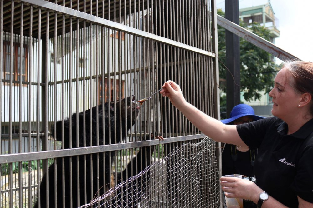 cuu-ho-gau-solo-lang-son-1 (2)