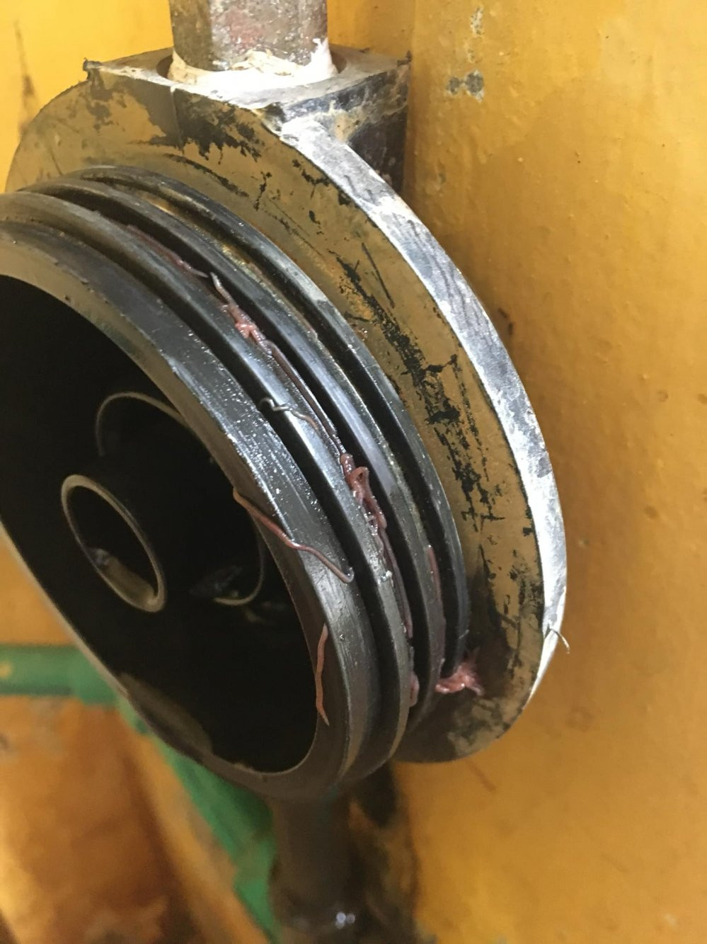 70825817_1394666504023462_6219465875603324928_o (1)