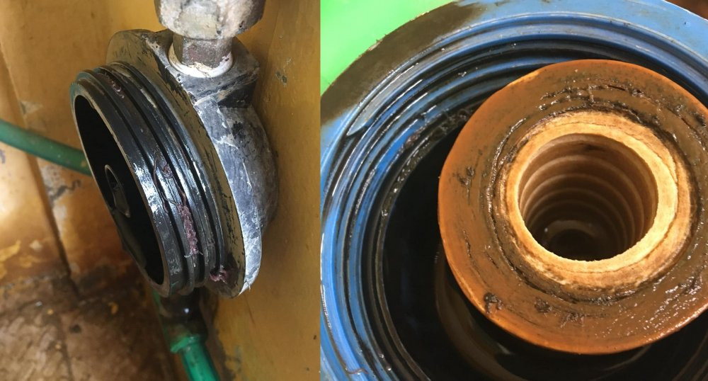 71386292_1394666784023434_4834631470045724672_o