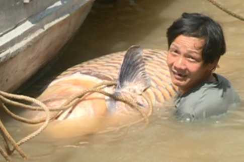 ong nghia ben ca khung