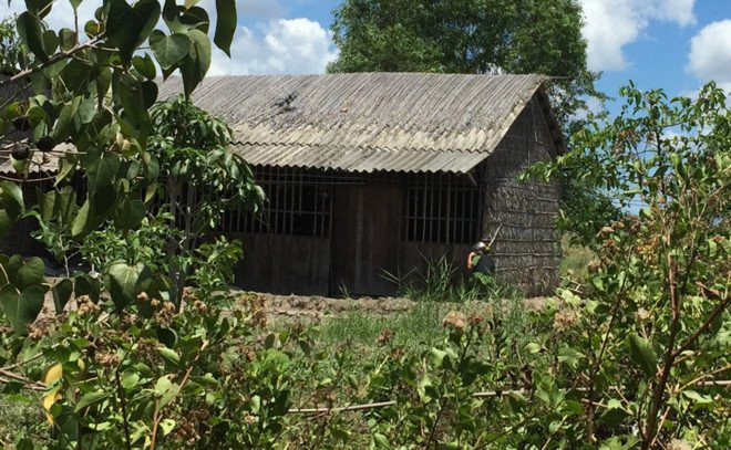 Nguoi dan ong ban chet vo roi tu sat khi bi cong an vay bat hinh anh 2