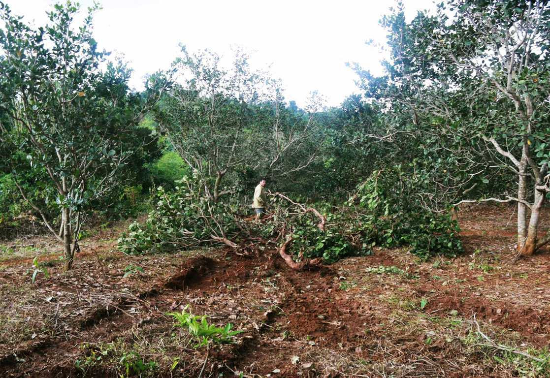 vu ban chet 3 nguoi o dak nong: con mot khau sung chua tim thay hinh anh 3