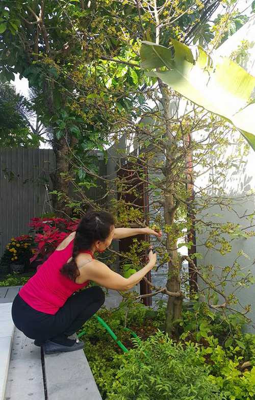 Những lúc rảnh rỗi, bà đều tự tay cắt tỉa những cây hoa trong vườn.