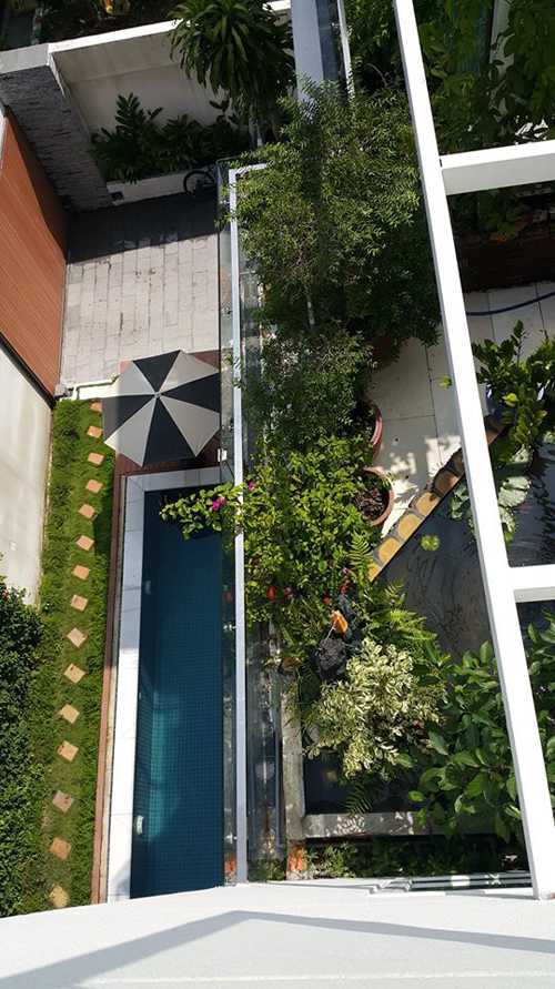 Xung quanh ngôi biệt thự, bà Ngọc Hương và ông xã còn trồng thêm nhiều loại cây cảnh để tạo không gian xanh thư giãn.