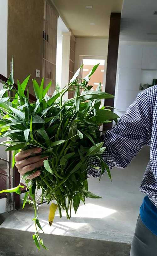 Bà thường xuyên chia sẻ hình ảnh về công việc trồng rau cùng thành quả trên trang cá nhân. Công việc này tuy không hề nhẹ nhàng vì bà phải tự làm đất (trộn đất sạch với phân) và khiêng lên sân thượng tầng 3 để trồng cây, đến chai cả tay nhưng lại đem đến nhiều niềm vui. 