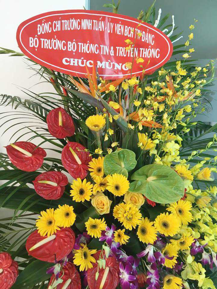 13599081_1207855952558841_262161909_n