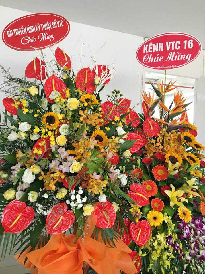 13618168_1207856682558768_2001206131_n