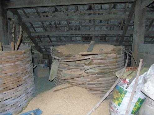 20160811153002-cho-tho-c-gia-u-tie-n