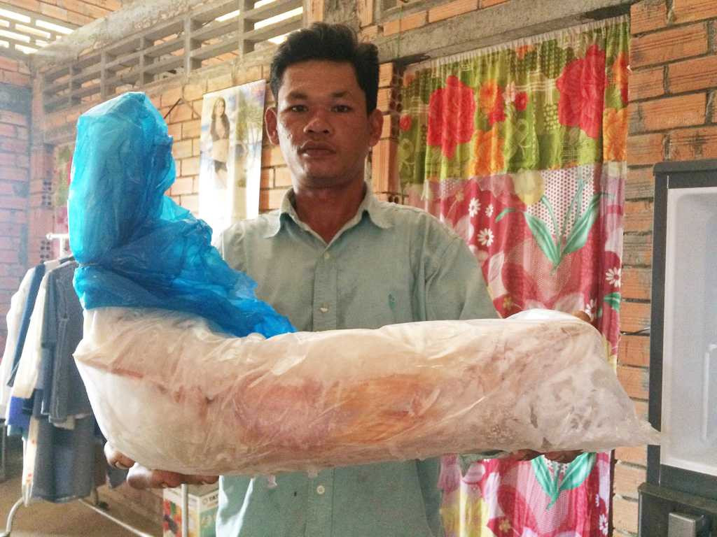 Bắt được cá nghi là cá sủ vàng, nhà hàng trả 100 triệu đồng - ảnh 2