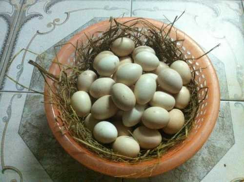 11 thực phẩm quen thuộc dù hết hạn vẫn có thể sử dụng được - 1