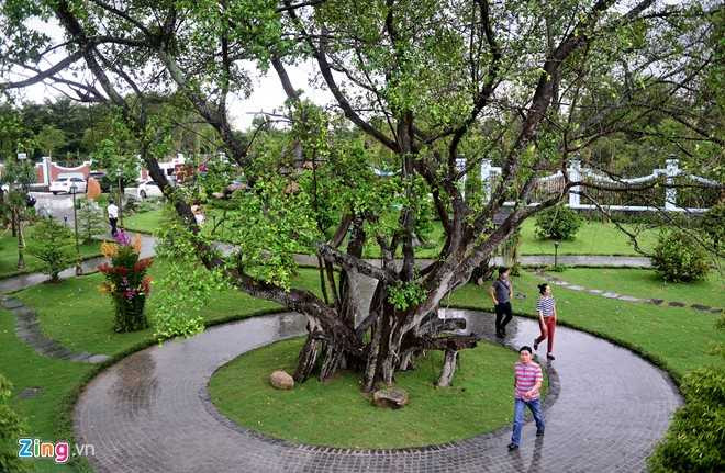 Toan canh nha tho To cua Hoai Linh o Sai Gon hinh anh 19