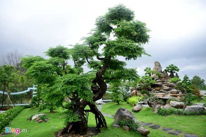 Toan canh nha tho To cua Hoai Linh o Sai Gon hinh anh 20