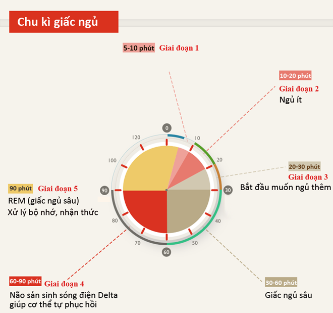 Tac dung quan trong khi ngu trua 30 phut moi ngay hinh anh 4