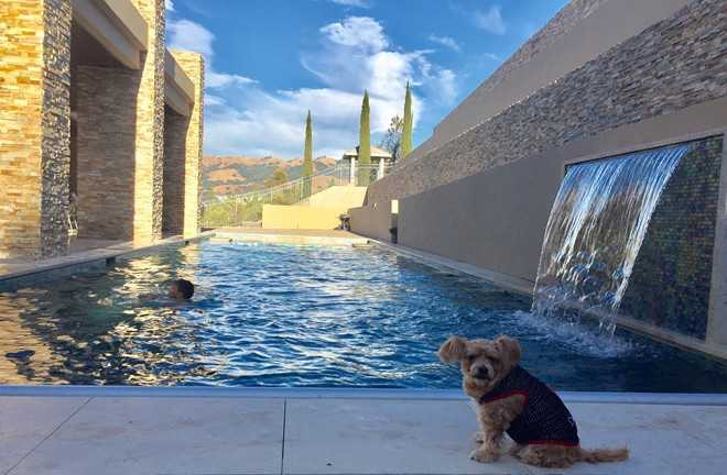 Biet thu moi xay cua vo chong Dan Truong o My hinh anh 2