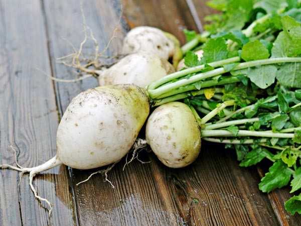 10 thuc pham giup tang chieu cao hieu qua hinh anh 1