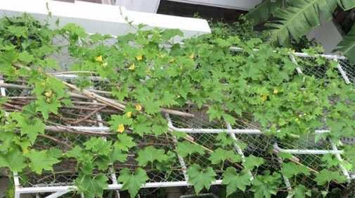 Choáng ngợp cuộc sống của con gái Thủy Tiên - Công Vinh - 4