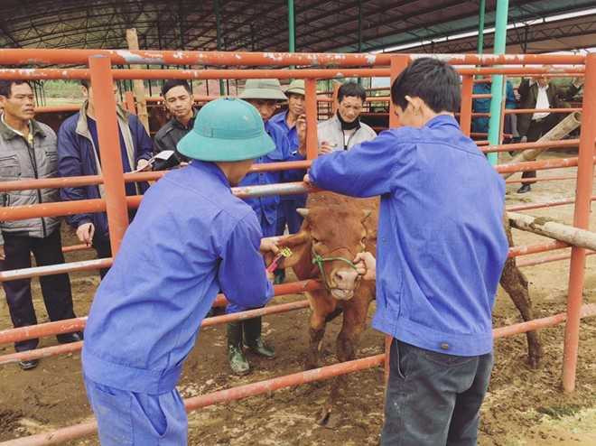 Trang ca nhan cua MC Phan Anh tro lai binh thuong hinh anh 1