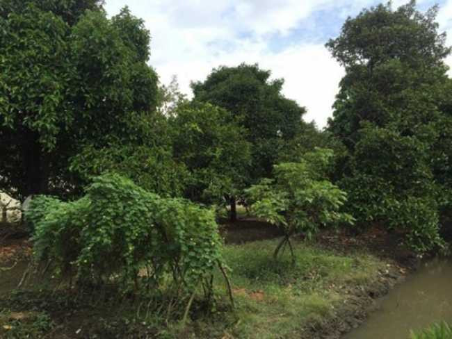 choang voi cuoc song cua ly hung va dan "nguoi tinh" man anh hinh anh 19