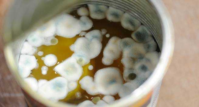 6 dau hieu canh bao thuc pham bi oi thiu hinh anh 4