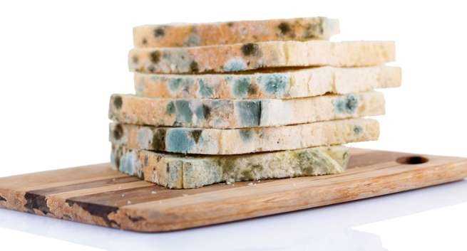 6 dau hieu canh bao thuc pham bi oi thiu hinh anh 5