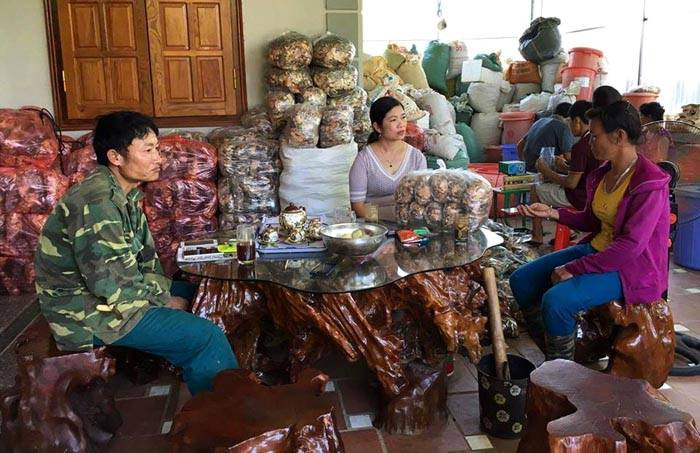 hoang-tuyet-minh-0815