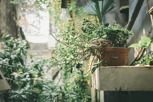 Căn nhà 125 triệu/m2 của gã đầu gấu đào hoa