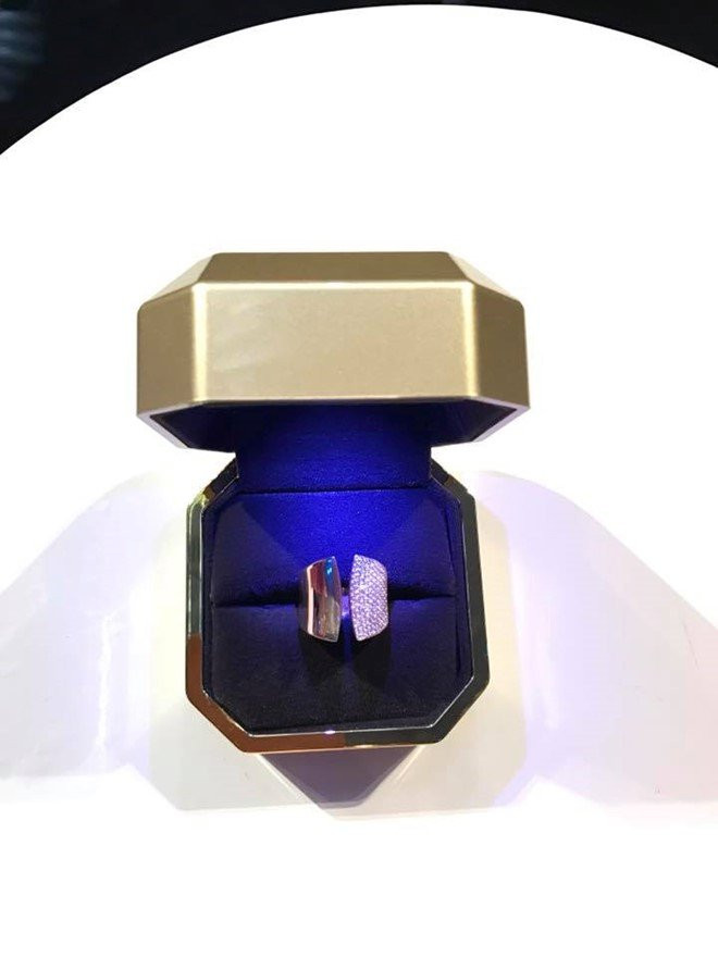 Dam Vinh Hung khoe nhan kim cuong duoc Duong Trieu Vu tang hinh anh 1