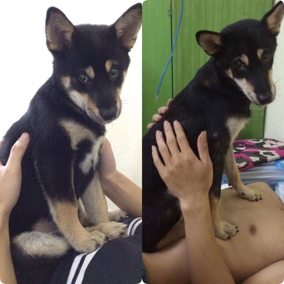 Dan mang thi nhau che anh 'day thi thanh cong' hai huoc hinh anh 7