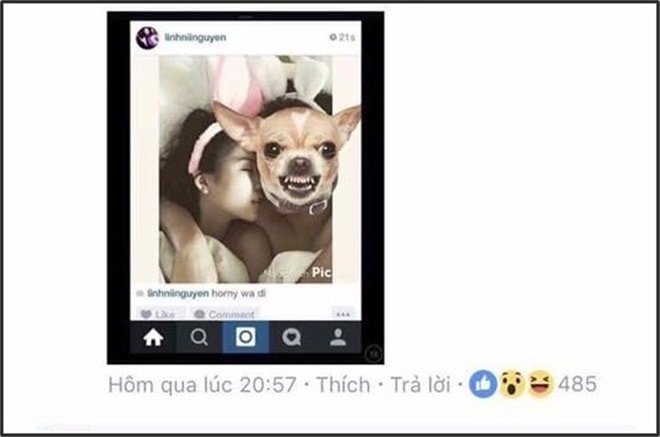 2 chan dai viet khon don vi scandal anh nhay cam hinh anh 3