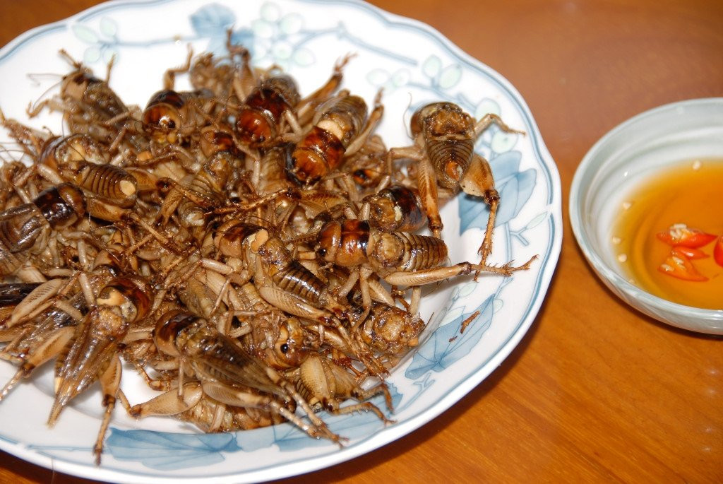 San de com duoi long dat kiem 300.000 dong moi ngay o mien Tay hinh anh 15