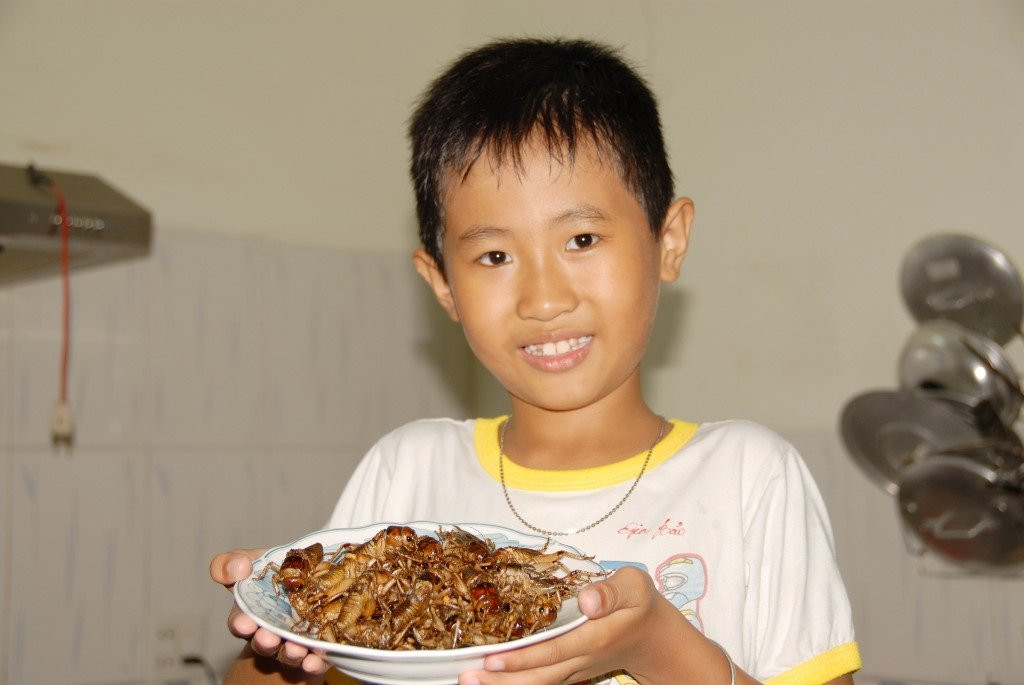 San de com duoi long dat kiem 300.000 dong moi ngay o mien Tay hinh anh 16