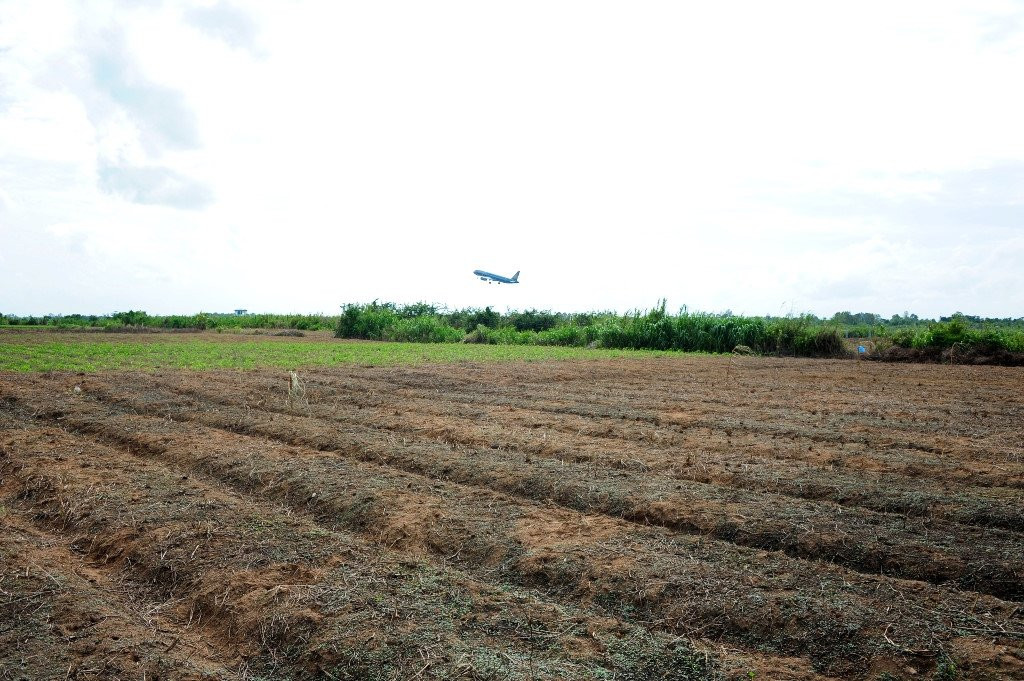 San de com duoi long dat kiem 300.000 dong moi ngay o mien Tay hinh anh 1