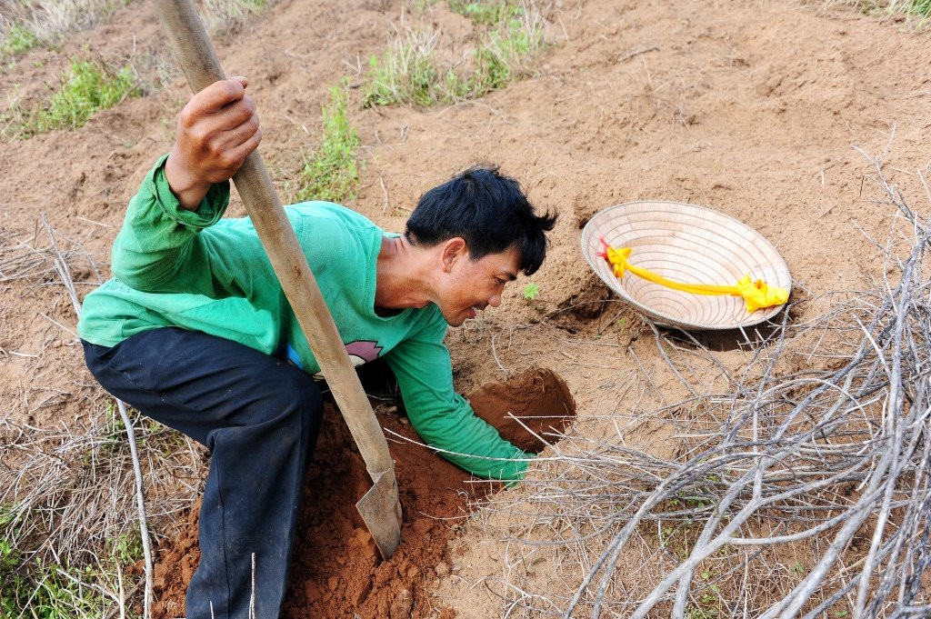 San de com duoi long dat kiem 300.000 dong moi ngay o mien Tay hinh anh 5