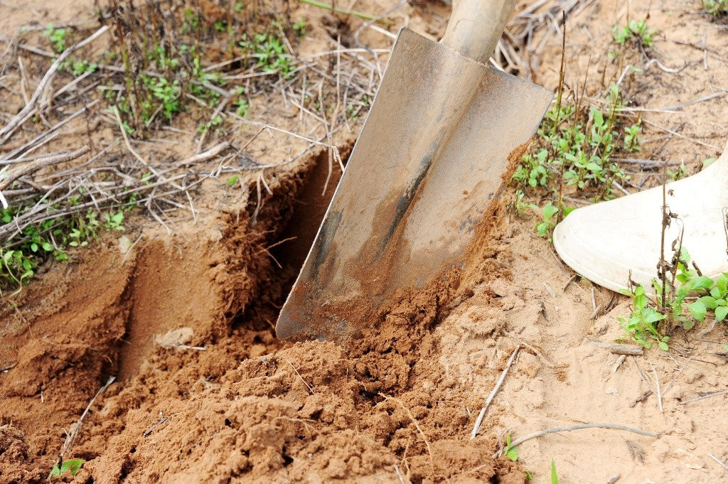 San de com duoi long dat kiem 300.000 dong moi ngay o mien Tay hinh anh 7