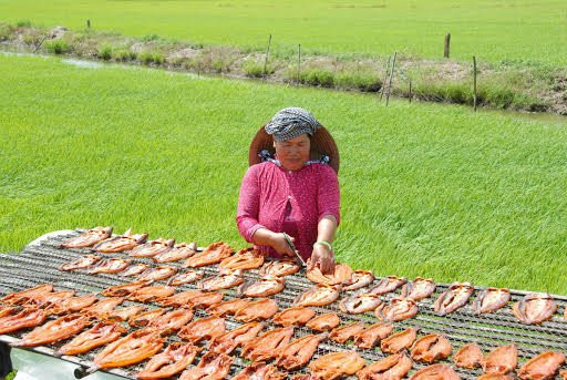 Nong dan mien Tay kiem tien 'de ot' nho lu ve som hon moi nam hinh anh 15