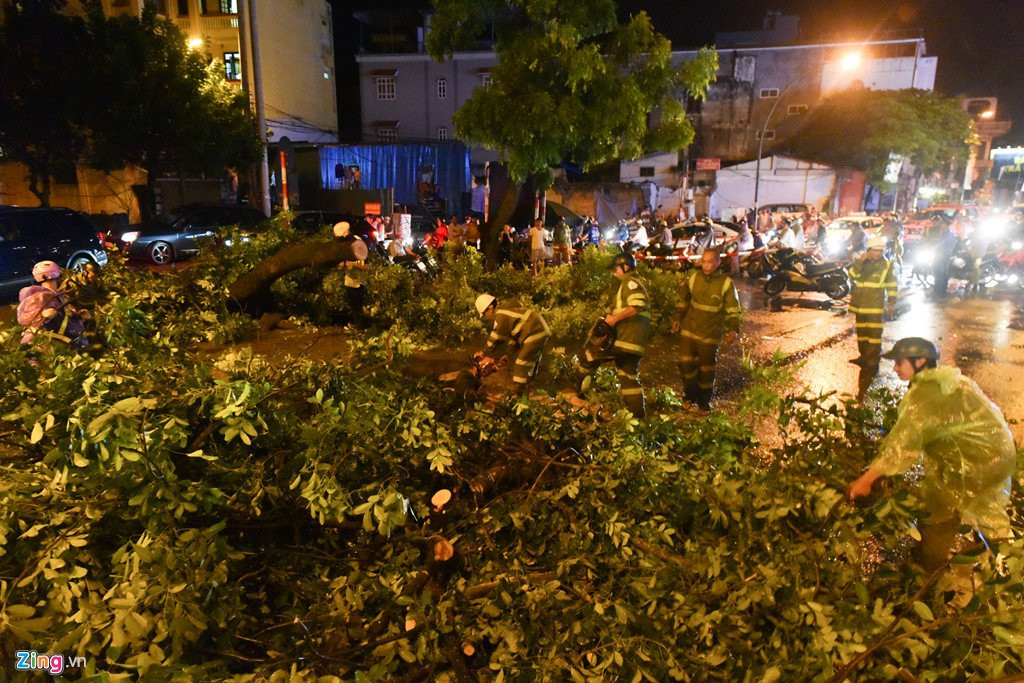 Cay do gay tac duong sau mua lon o Ha Noi hinh anh 2